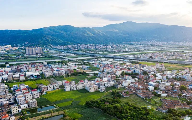 �ҹ��Ų��г�����һ������